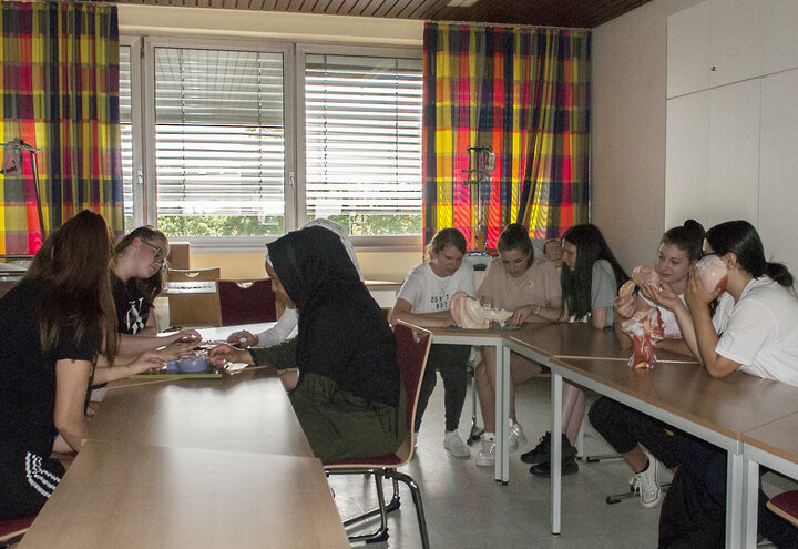 Schüler am Projekt 
