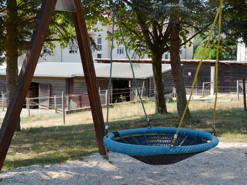 Nest-Schaukel