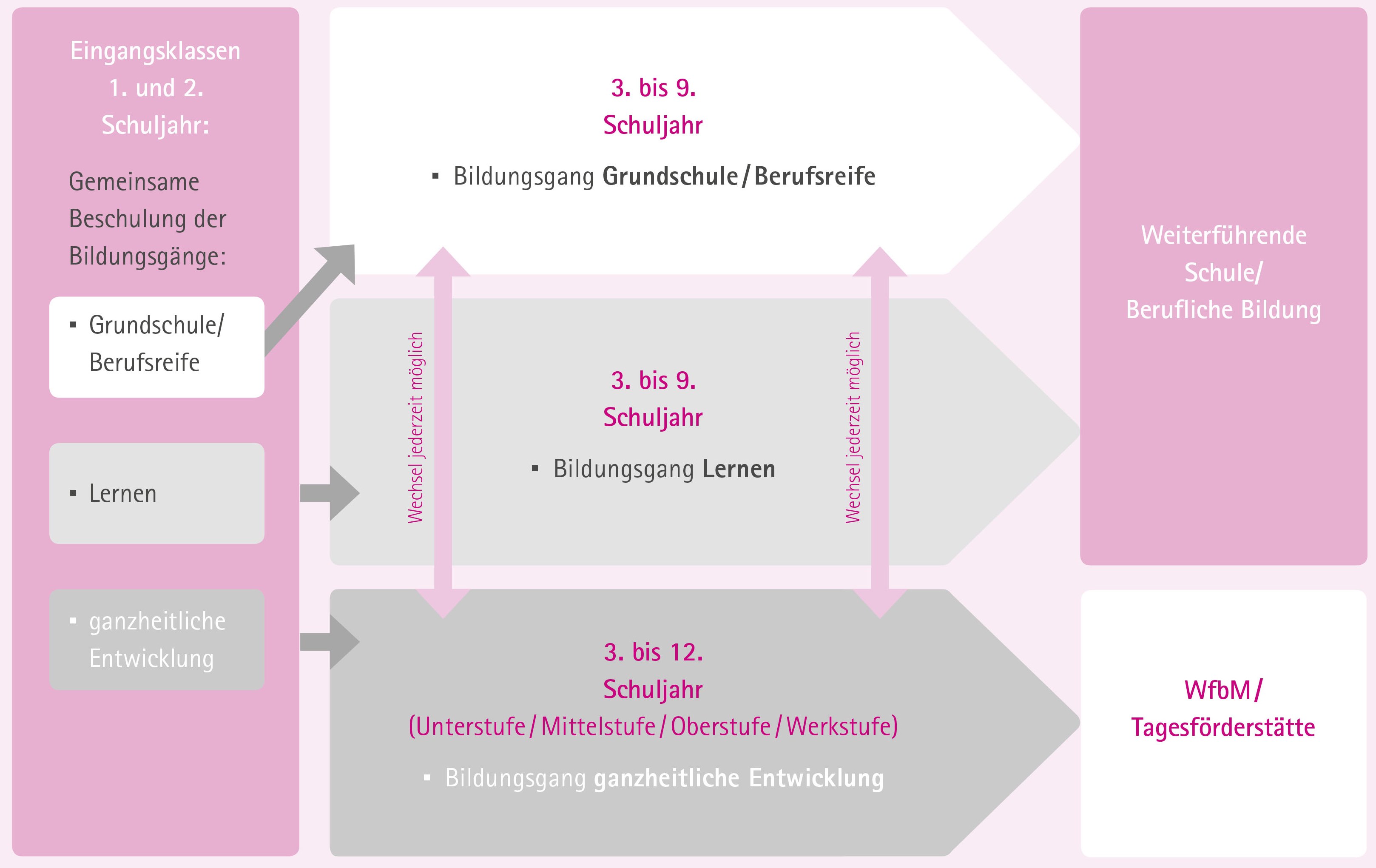 Bethesda Schule - Diagramm Schullaufbahn