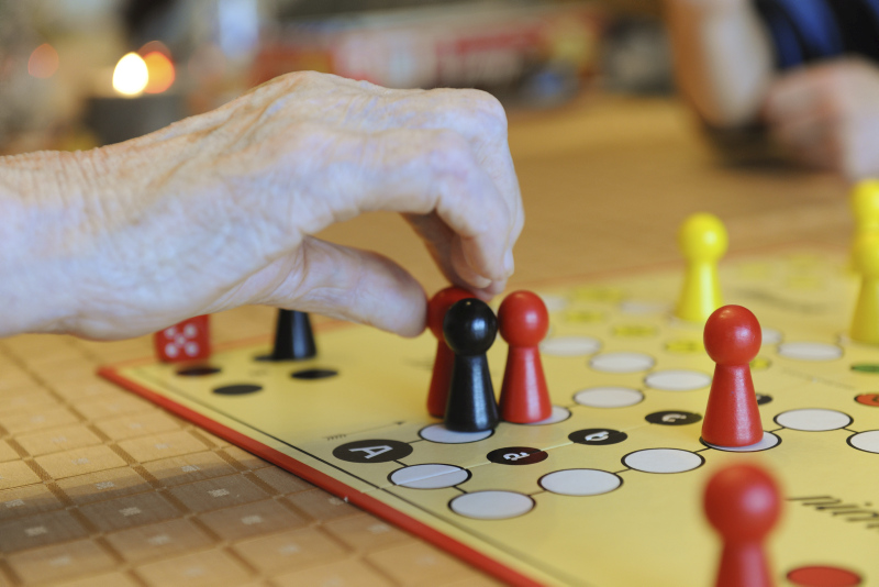 Mensch ärgere dich nicht spielen